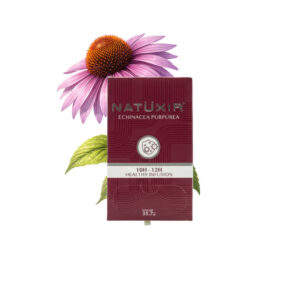 Infusion échinacée pourpre