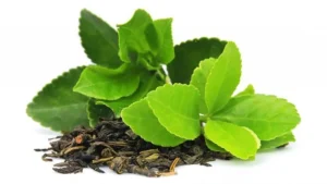 Feuilles de Thé Vert