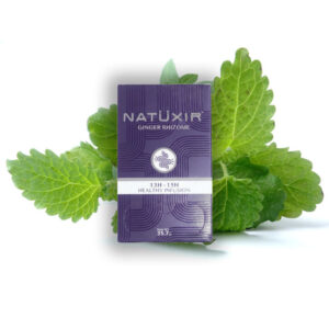 Infusion Gingembre Mélisse - Natüxir