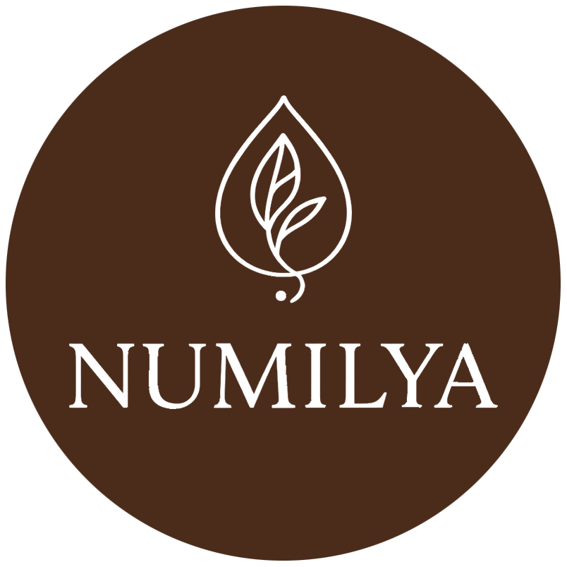 Logo Numilya