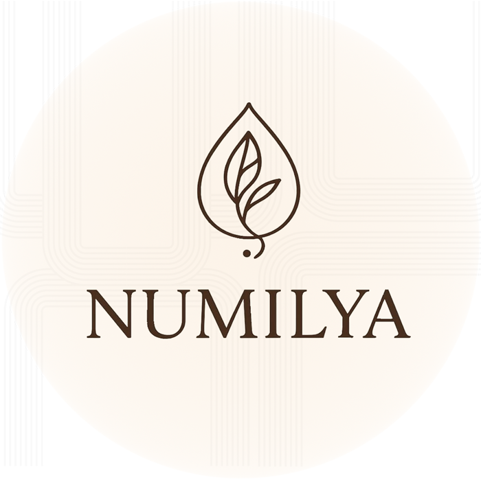 Logo Numilya